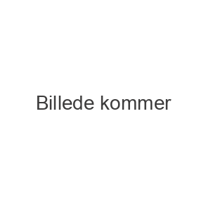 brancher